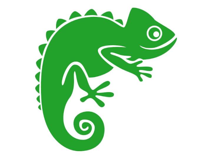Internet Reptile
