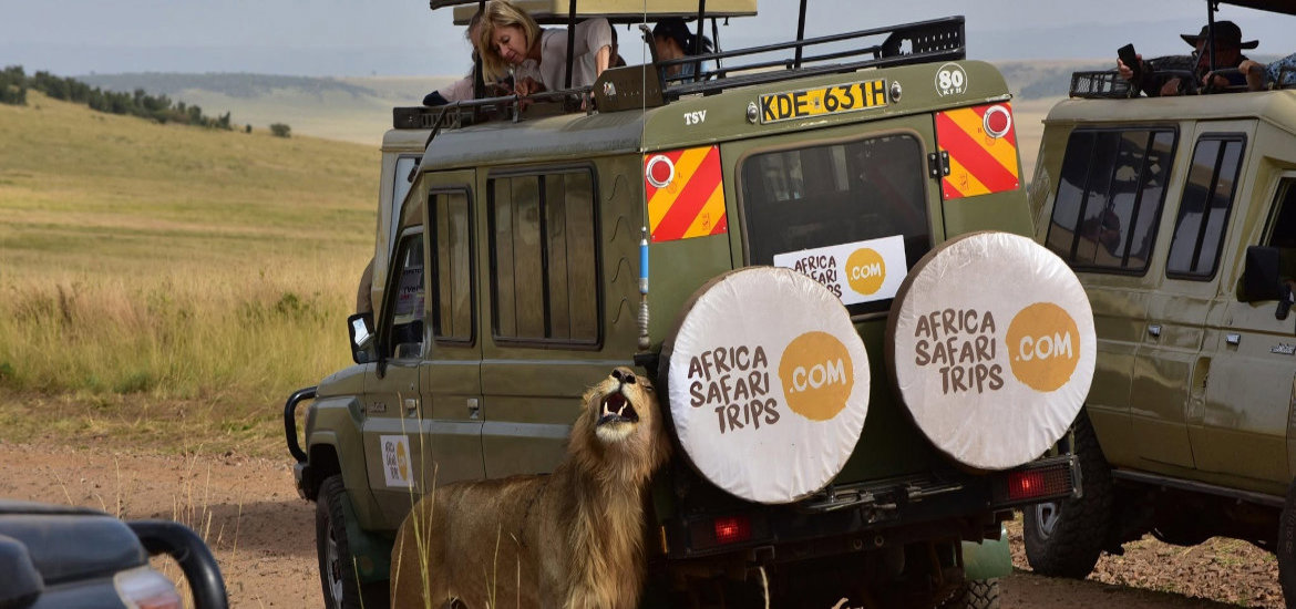 Africa Safari Trips