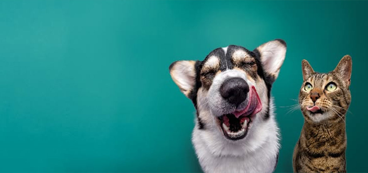 Burns Pet Food