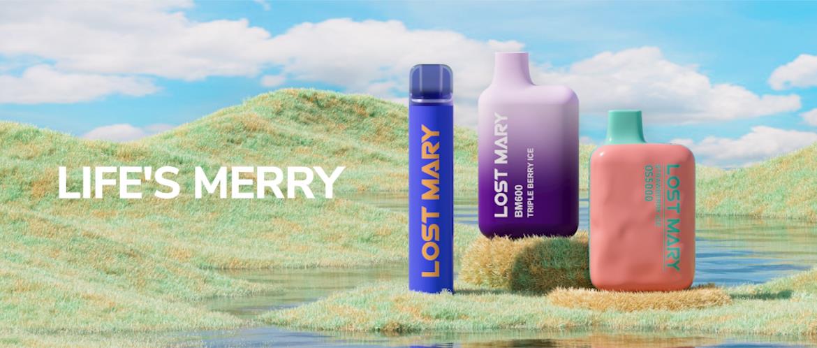 Lost Mary