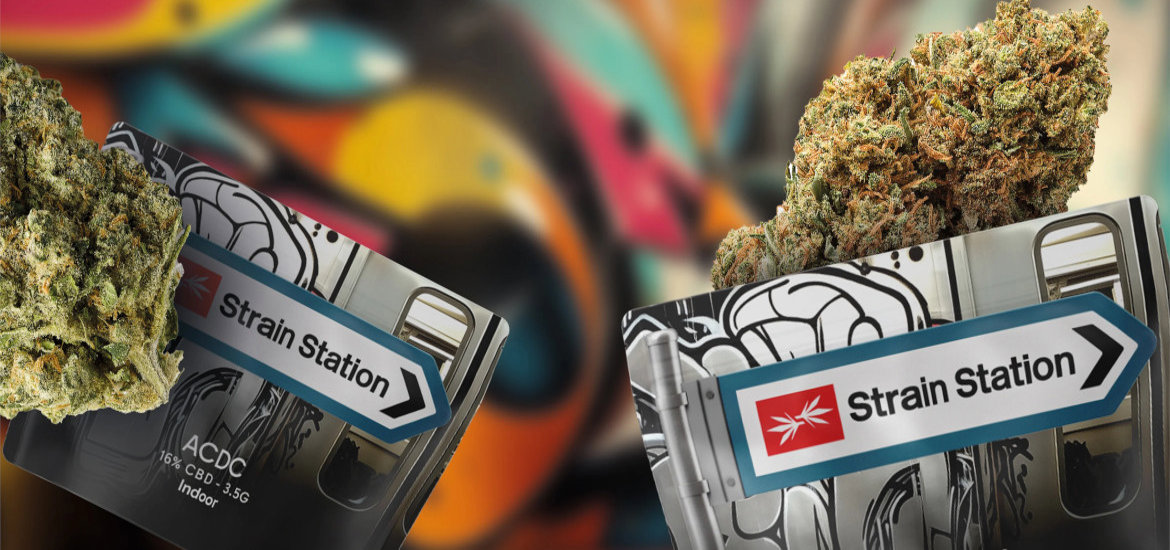 Strain Station